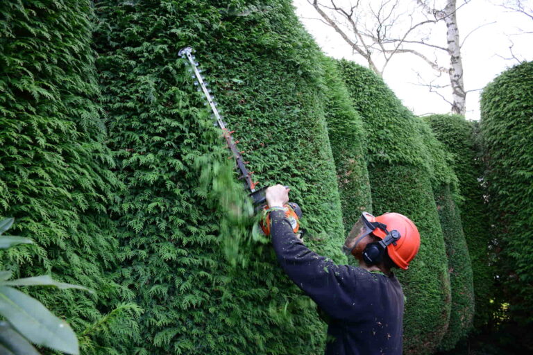 Mowing Services Andrew Osborne