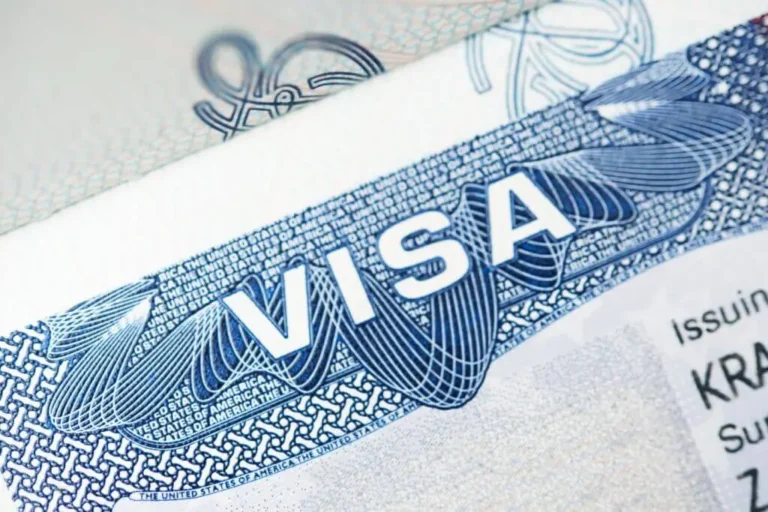 workers visa us