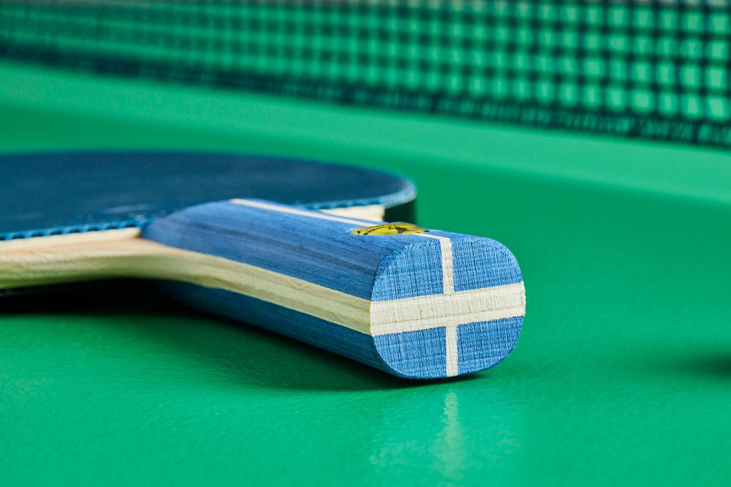 Table Tennis Shop Buying Guide: Blades, Handles, and More