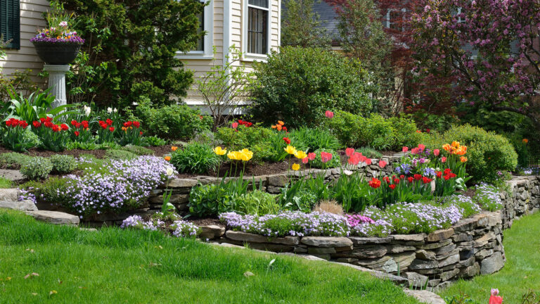 Climate Based Plant Selection Improving Landscape Survival And Visual Consistency