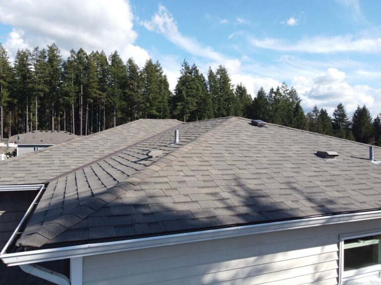 action roofing services